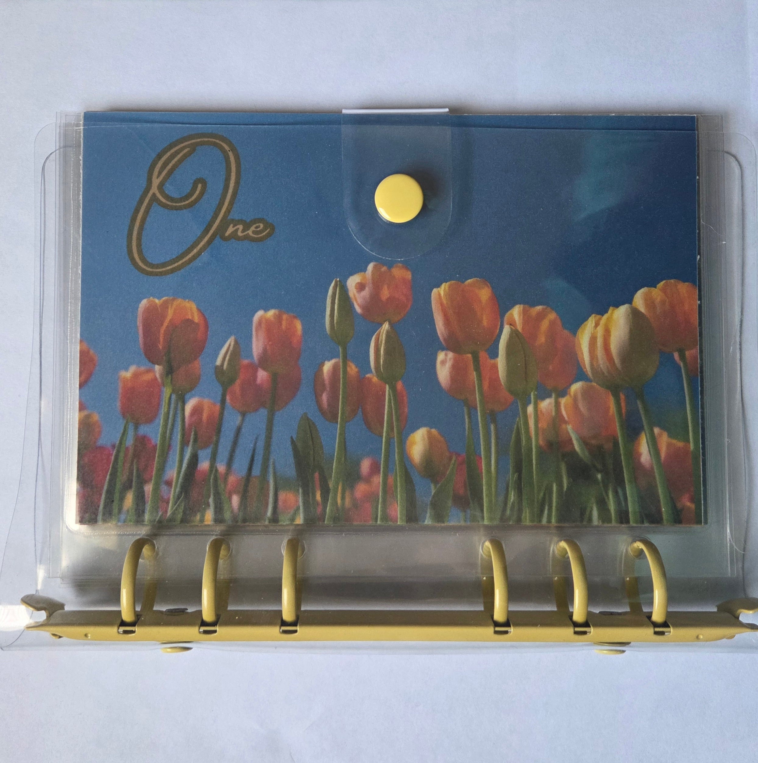 One Step at a Time” Savings Binder Set