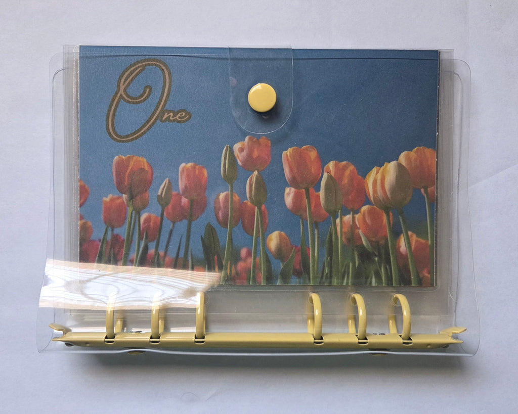 One Step at a Time” Savings Binder Set