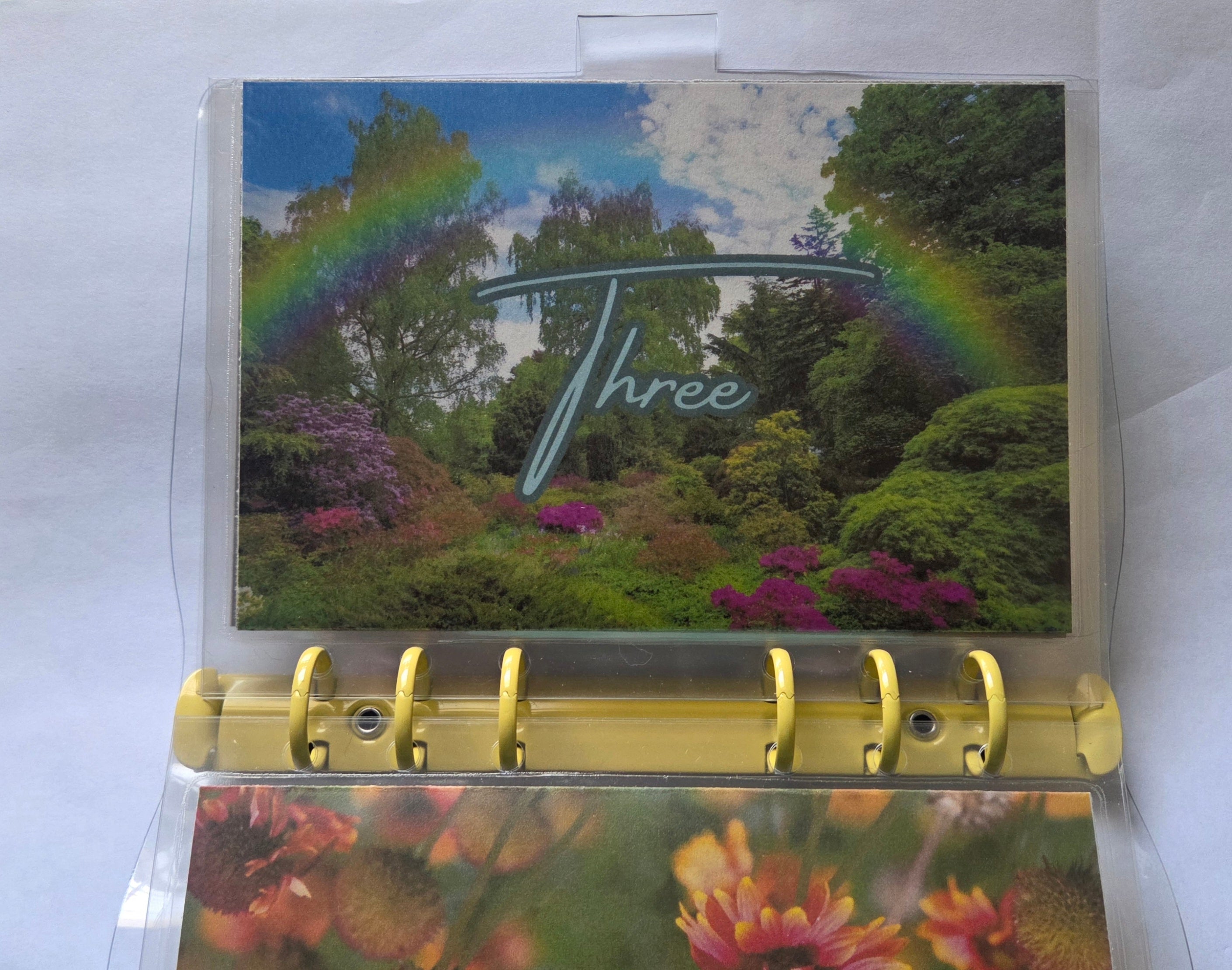 One Step at a Time” Savings Binder Set