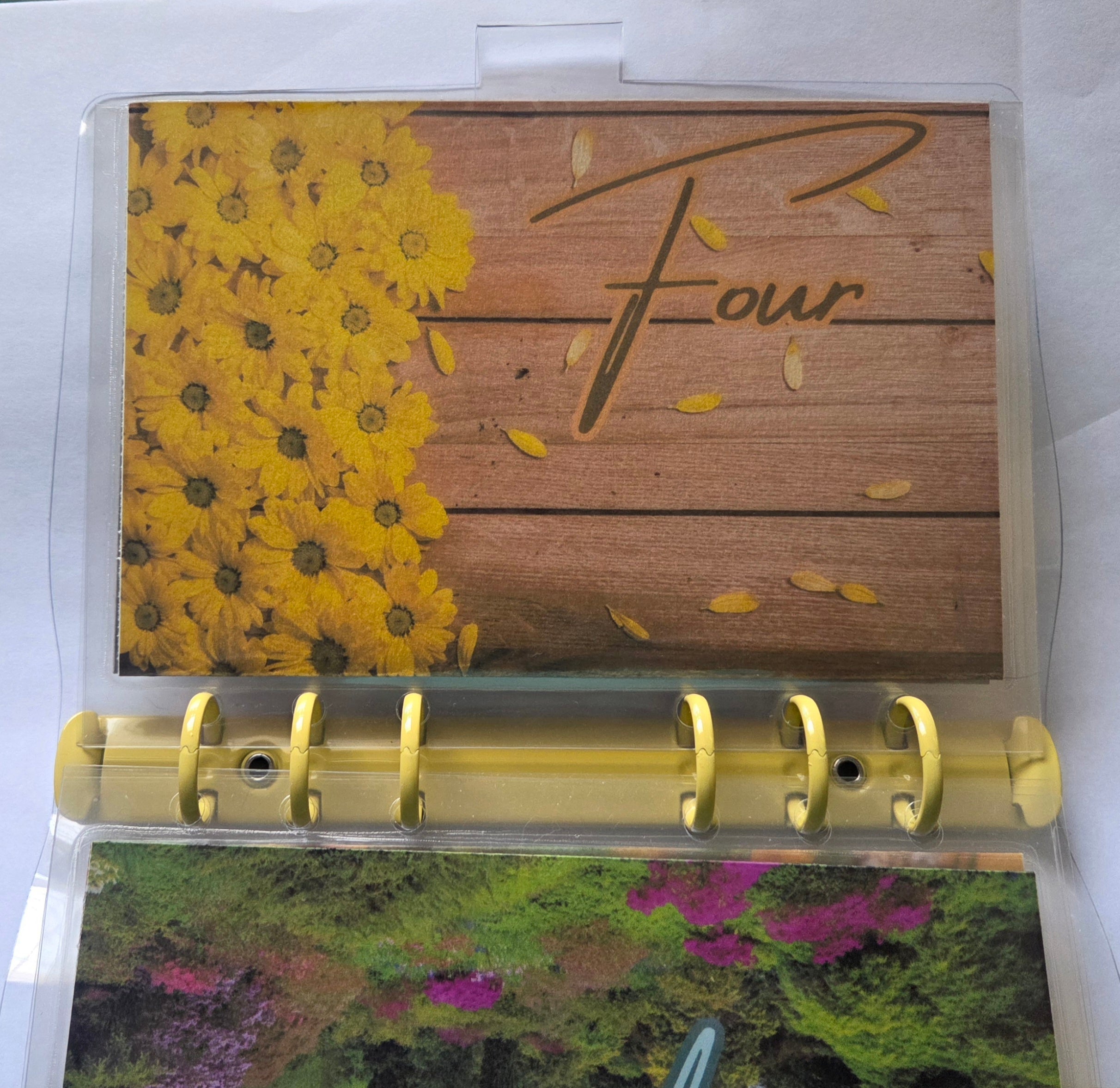 One Step at a Time” Savings Binder Set