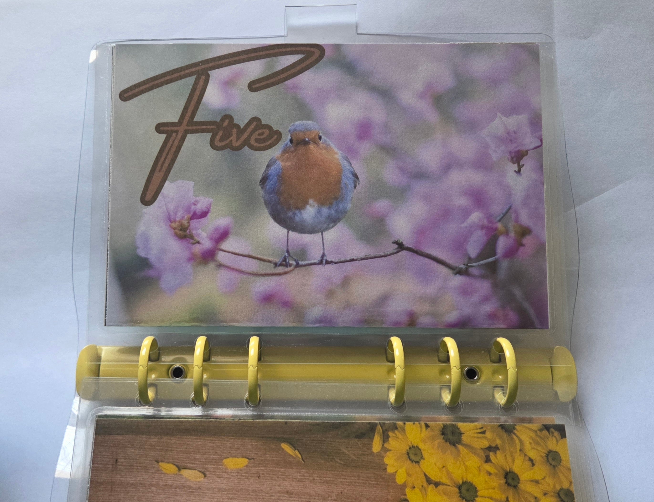 One Step at a Time” Savings Binder Set