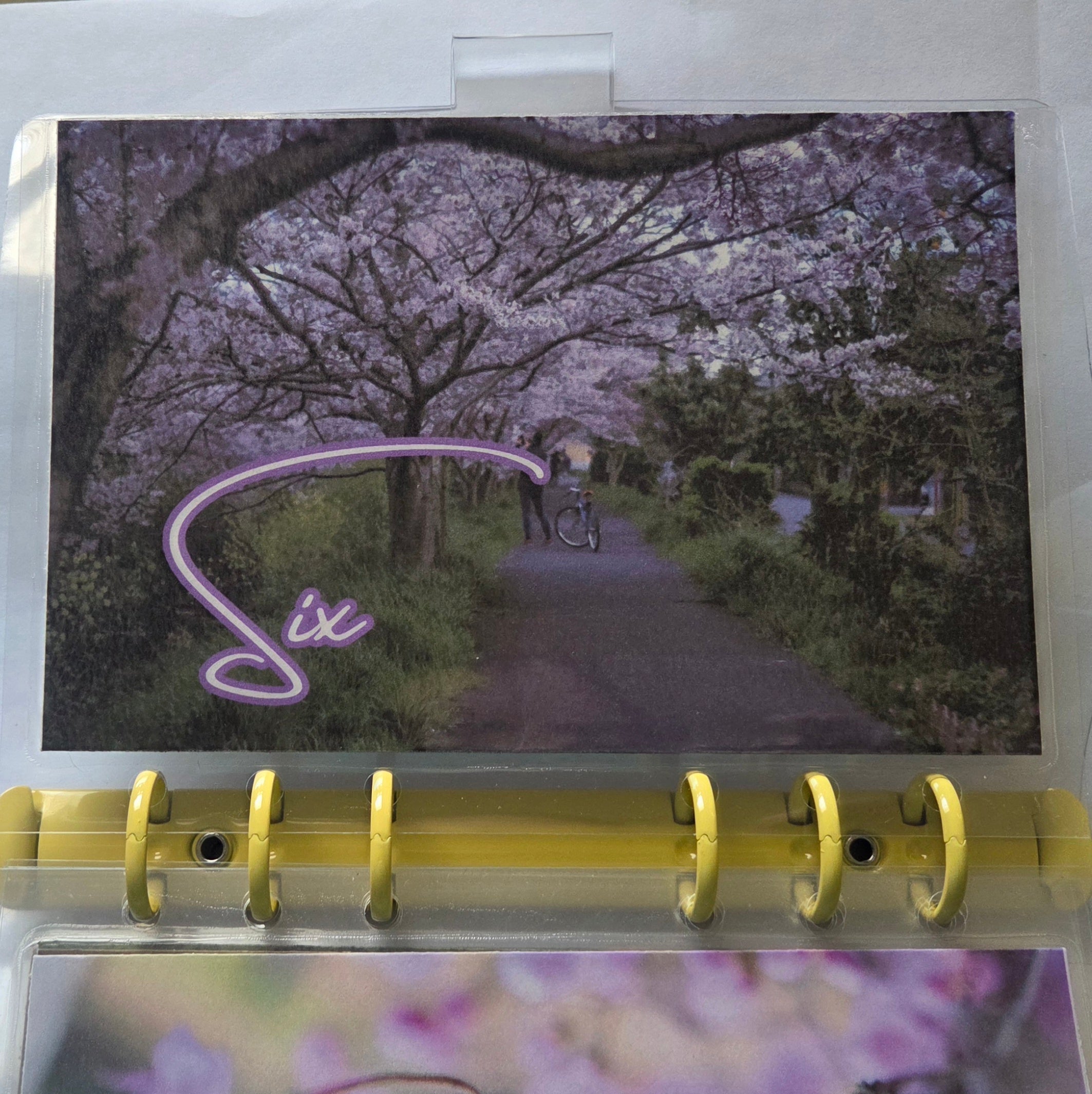 One Step at a Time” Savings Binder Set