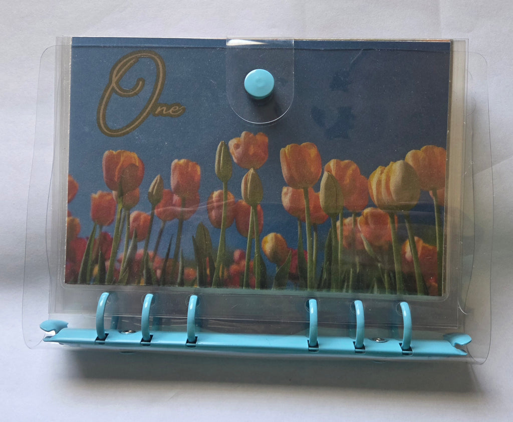 One Step at a Time” Savings Binder Set