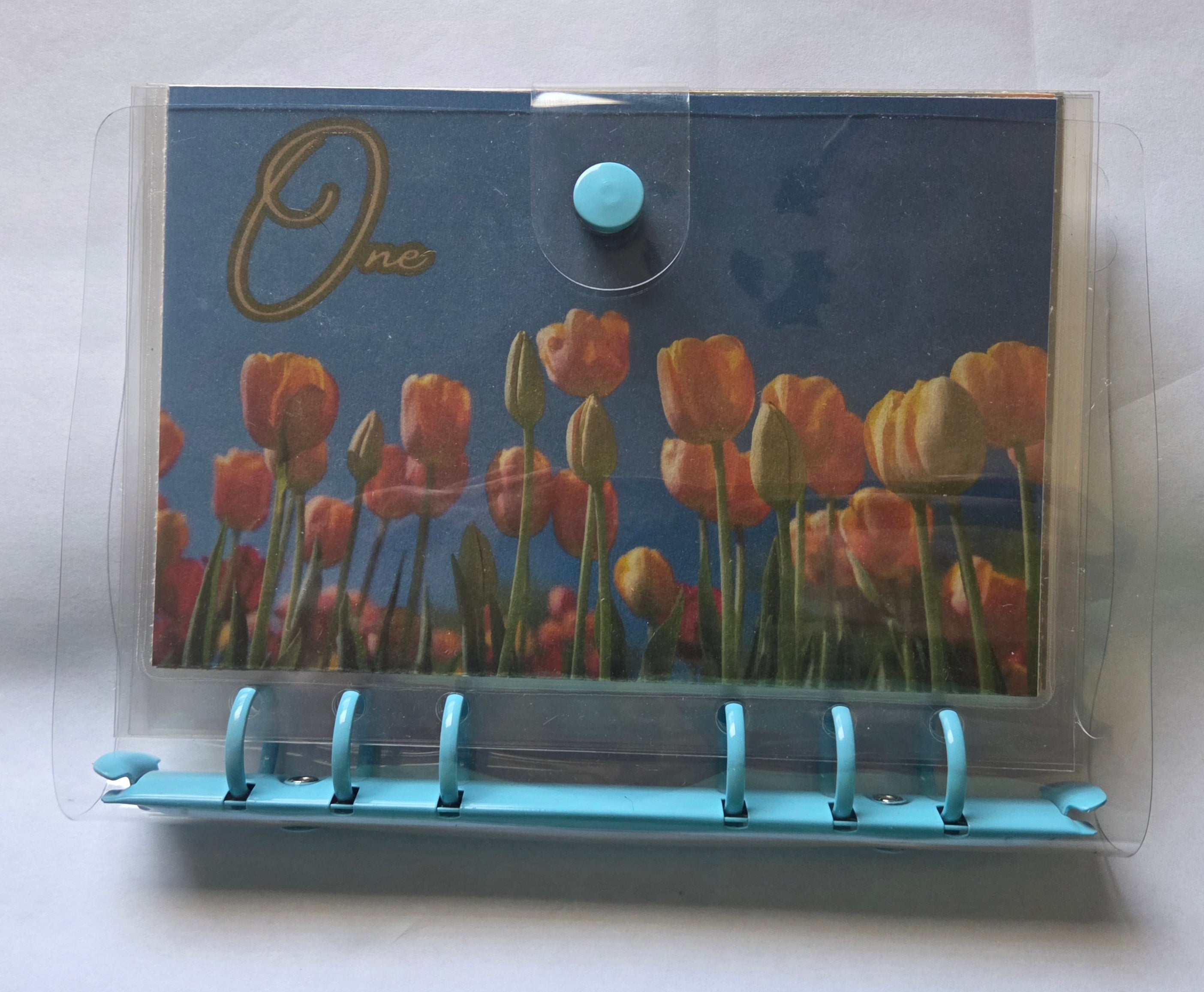 One Step at a Time” Savings Binder Set