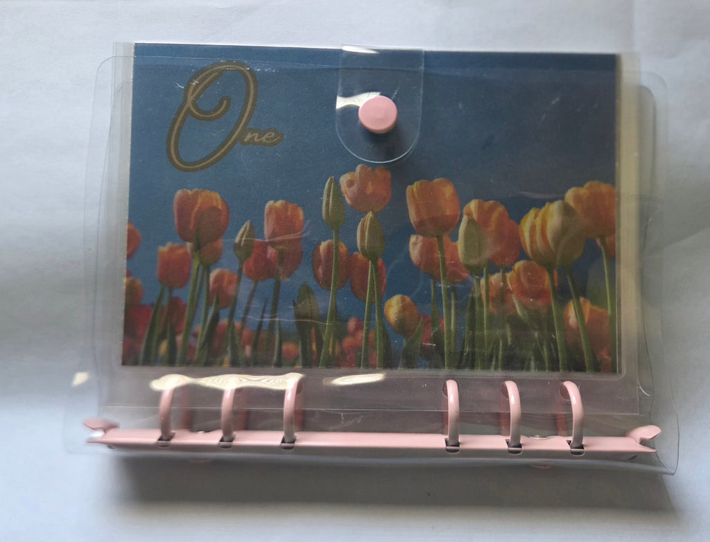 One Step at a Time” Savings Binder Set