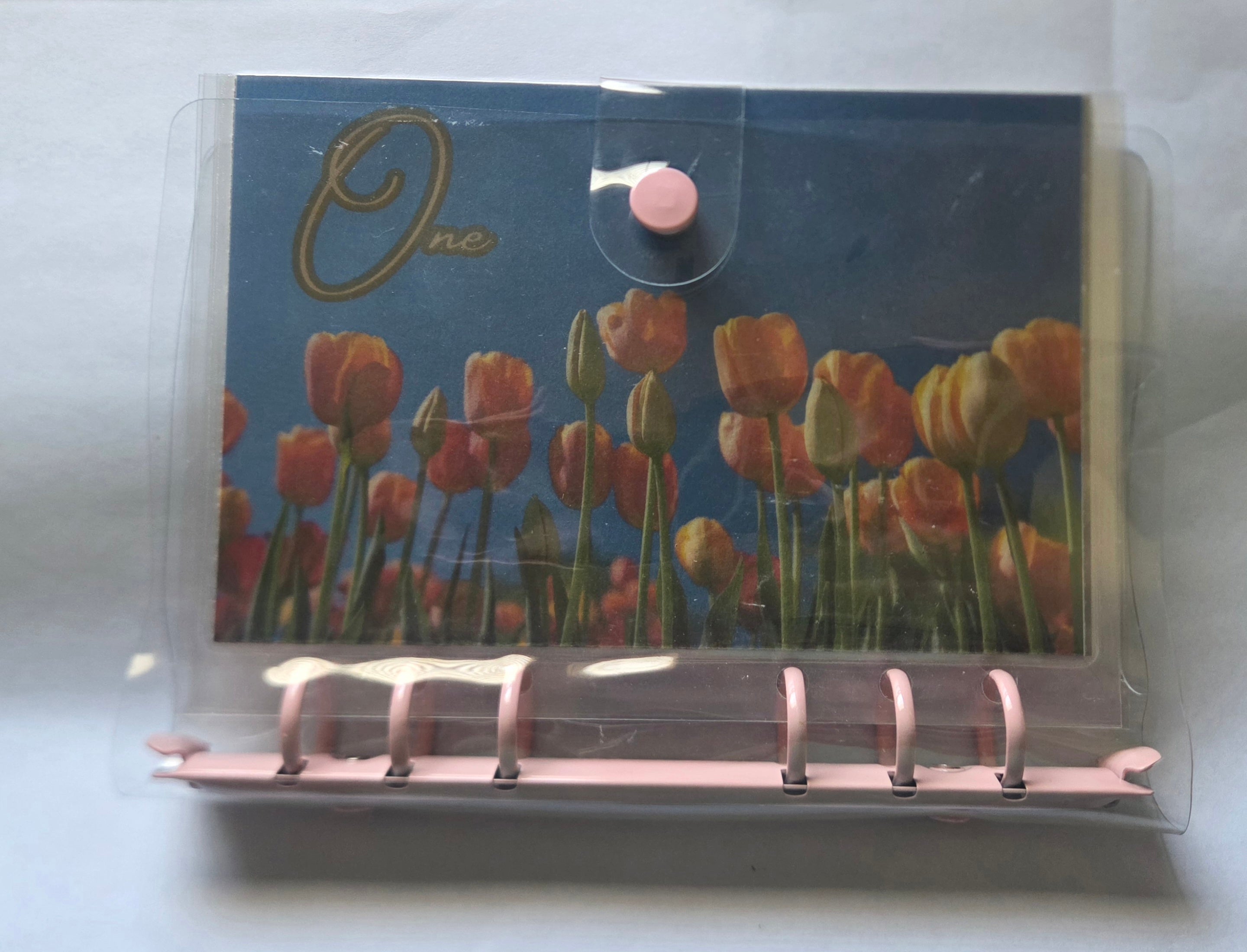 One Step at a Time” Savings Binder Set