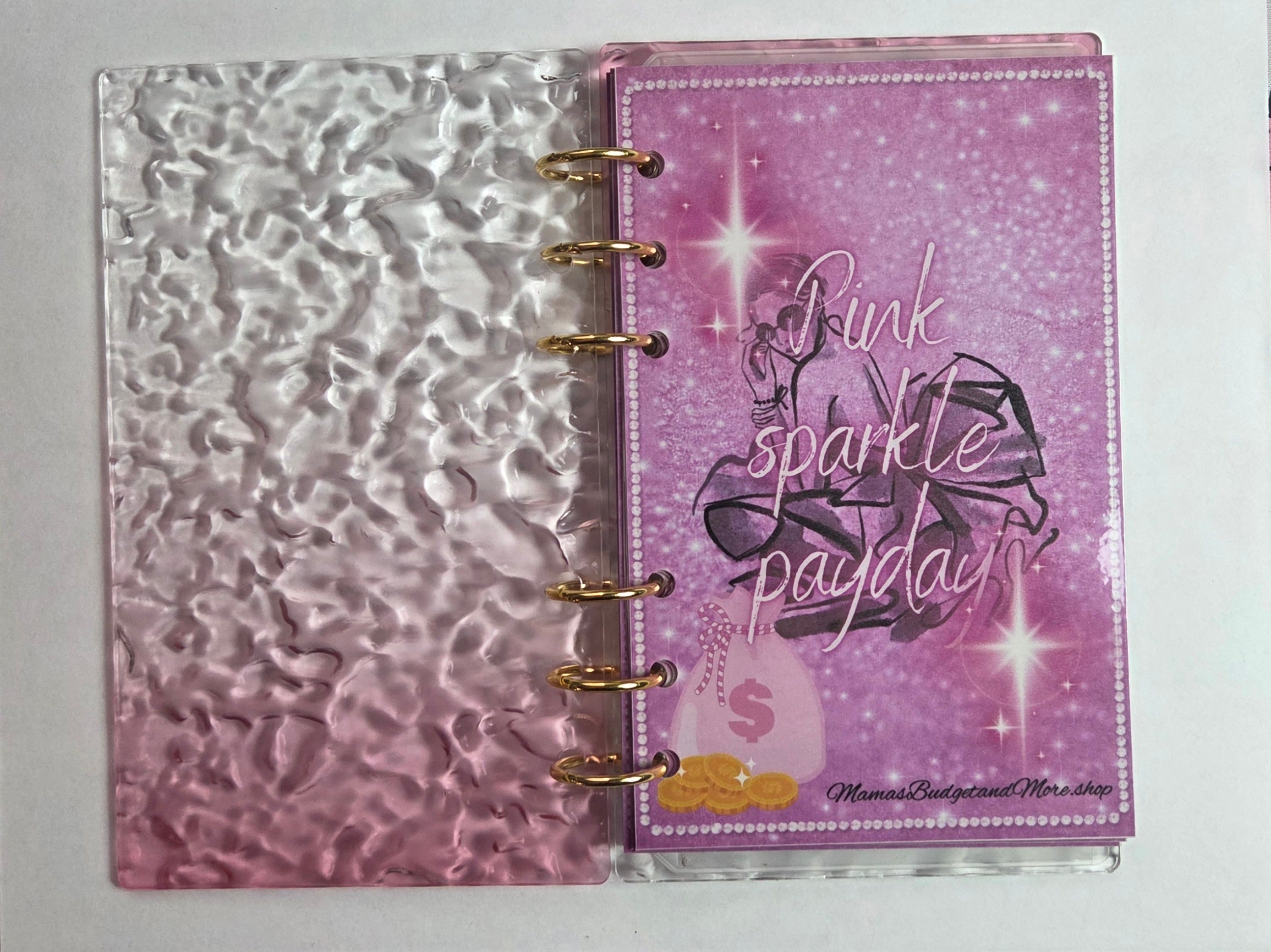 Luxe Mini Savings Binder