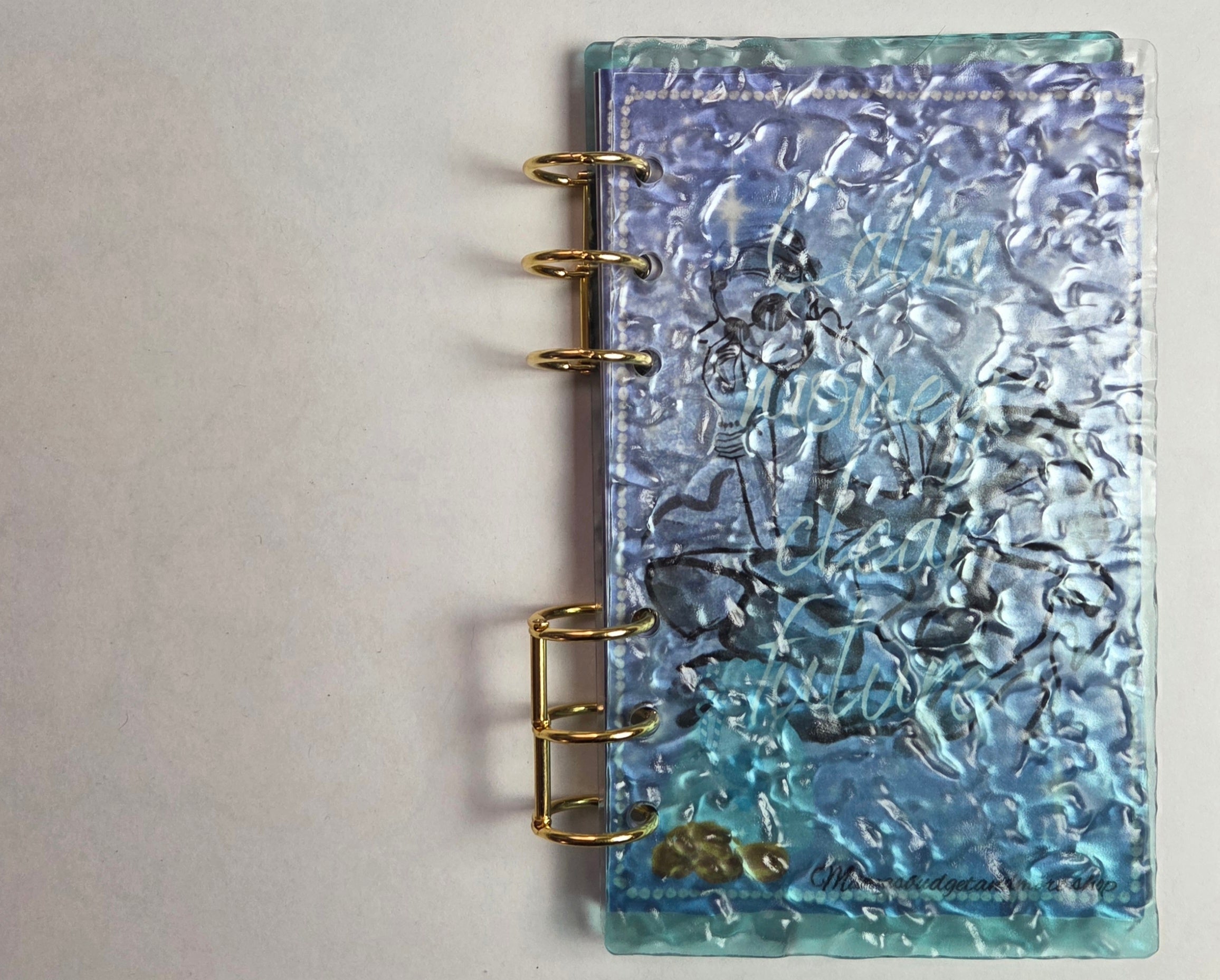 Luxe Mini Savings Binder