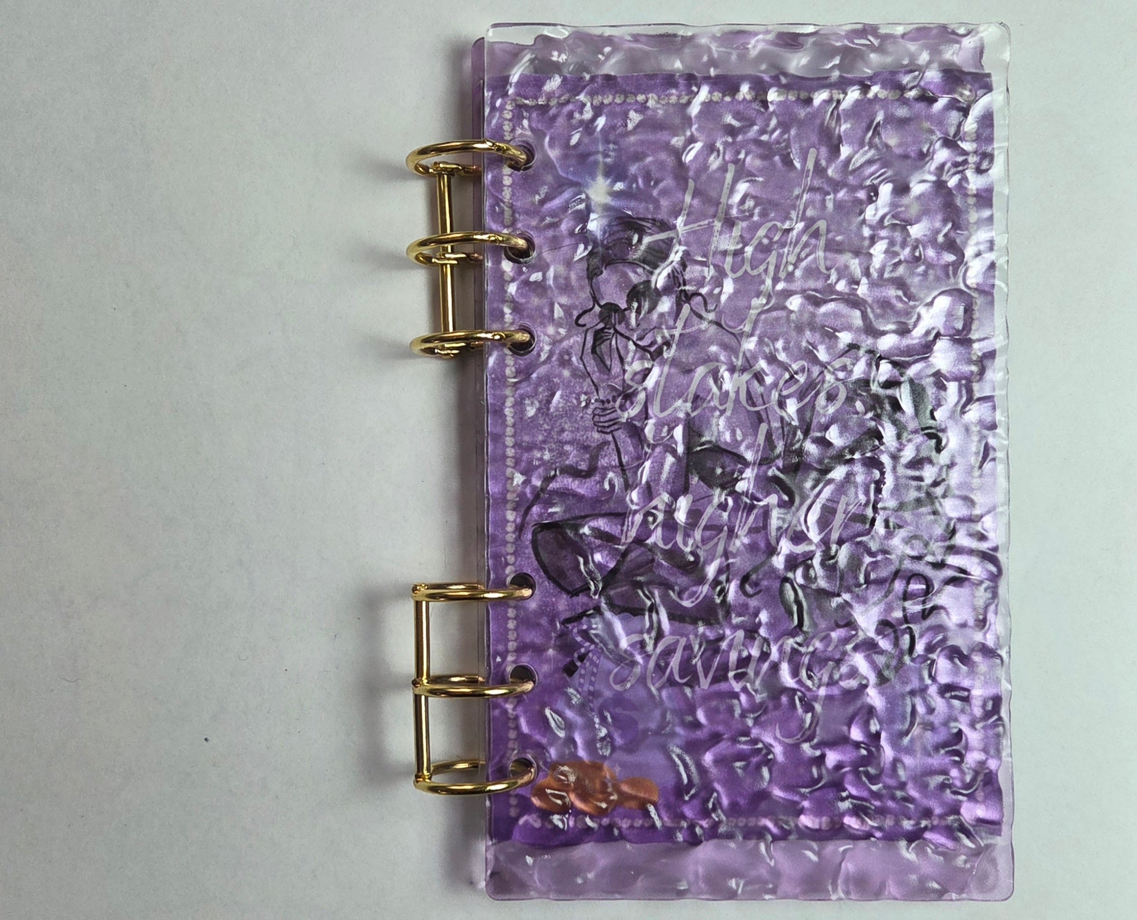 Luxe Mini Savings Binder